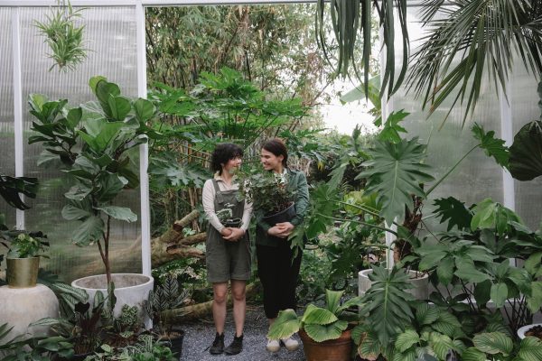 Succulent Bonsai Workshops